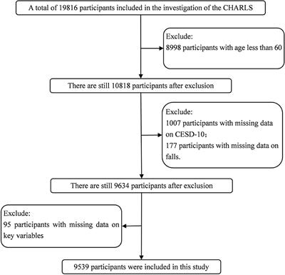 The association between falls and depressive symptoms among older adults: evidence from the China Health and Retirement Longitudinal Study